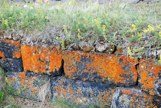 die alte Kirchenmauer