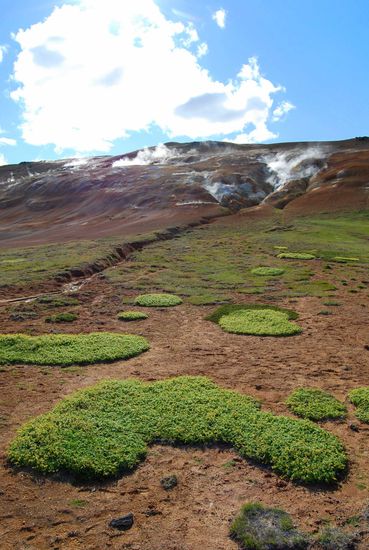 im Gebiet Leirhnjúkur, auf dem Rückweg zum Parkplatz