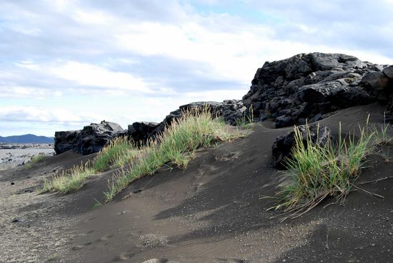 schwarze Dünen führen uns zum Wasserfall