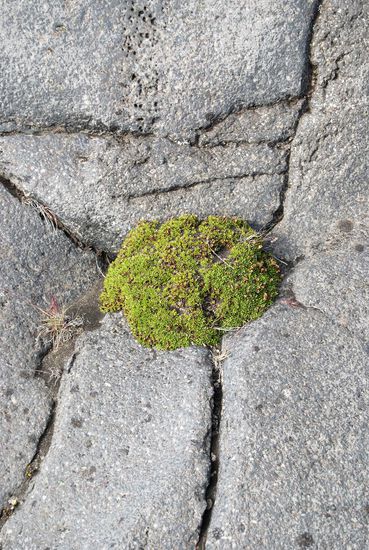ein paar Eindrücke von diesem herrlichen Platz, einem würdigen Wendepunkt unserer Tour