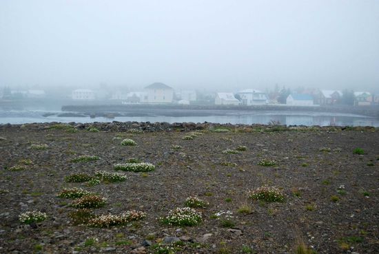 Nebel in Seyðisfjörður
