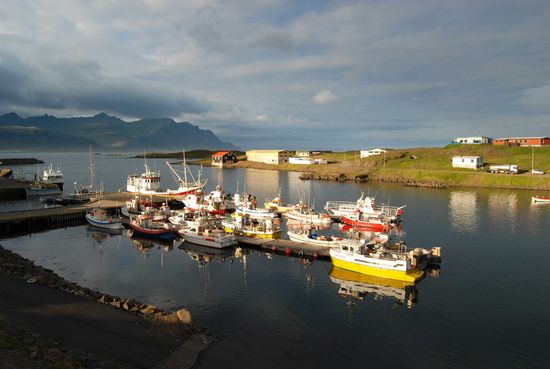 Djúpivogur, Hafen