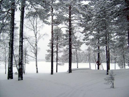 Boot und Rettungsring warten auf den Frühling.