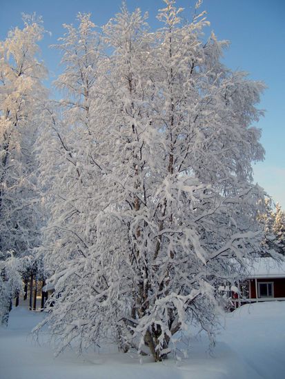 nach einigen Schneetagen.