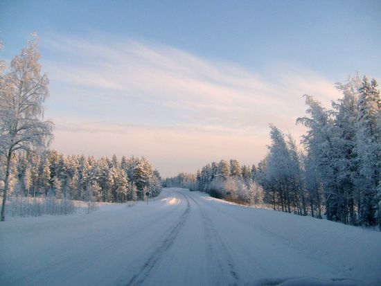 Auf dem Weg nach Jokkmokk.