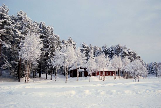 Am See, Blick Richtung Fjällträdgården