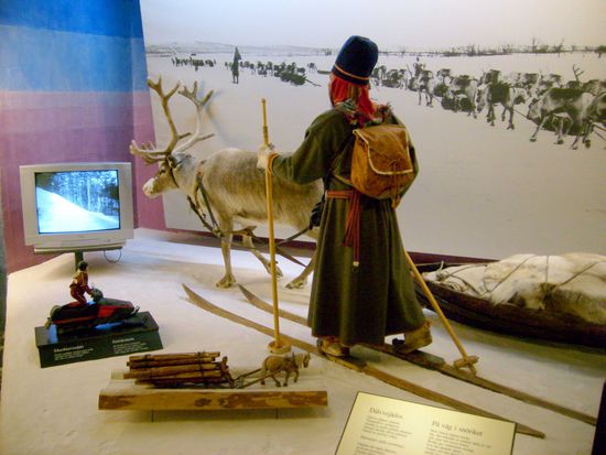 Das Leben der Samen.