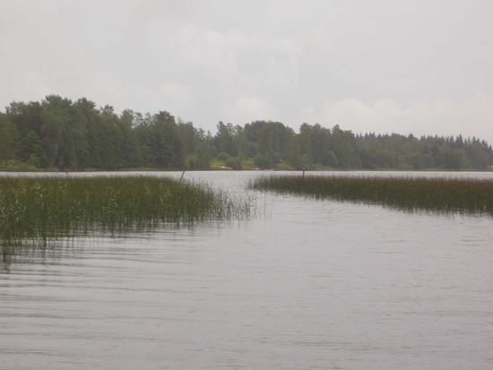 Einfahrt in den Aspen