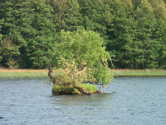 Auf dem Asphytteälven