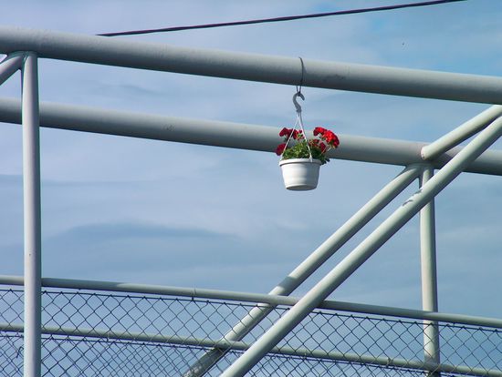 Brücke in Daglösen