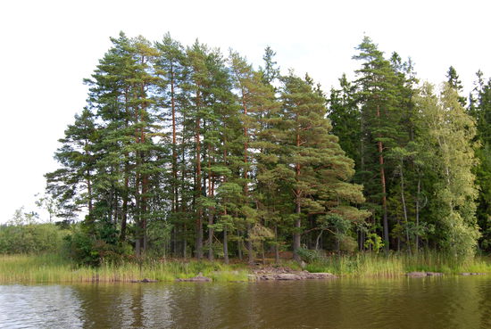 Abfahrt aus unserer Bucht