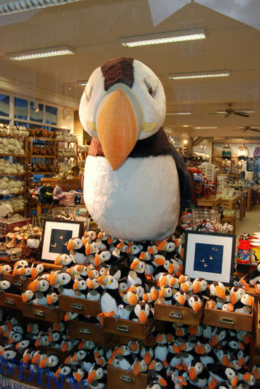 Lundi im Andenkenladen