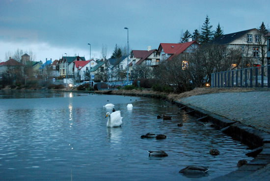 Tjörnin vom Rathaus aus