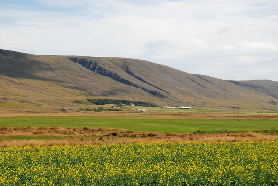 im Lundarreykjadalur