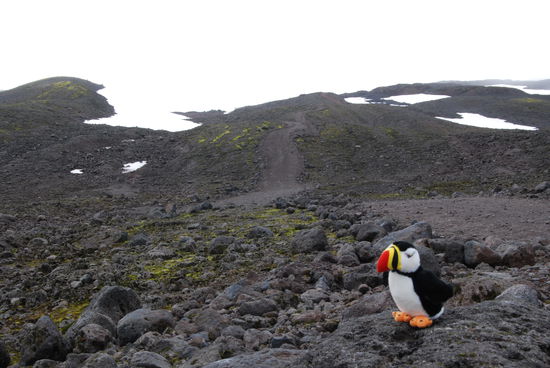 unser Lundi immer dabei