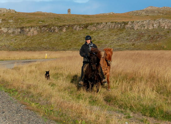 Begegnung auf der Rückfahrt