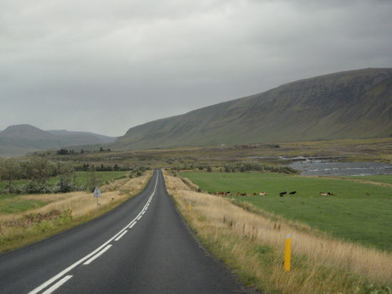 gleich kommt der Abzweig zur 48 Richtung Þingvellir