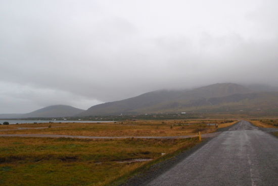 letzter Blick zurück auf unser Ferienhausgebiet