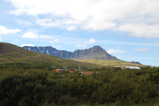 in unserem Ferienhausgebiet