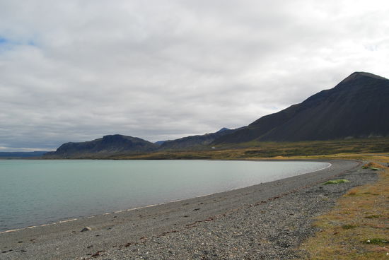 am Borgarfjörður