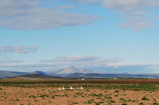 die Baula beherrscht die Landschaft