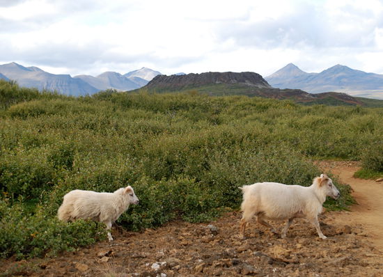 Eldborg mit Ureinwohnern