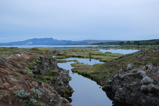 Spalten führen in den Þingvallavatn