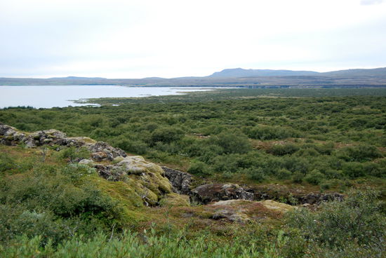 Blick über die Þingvellir-Ebene von Osten
