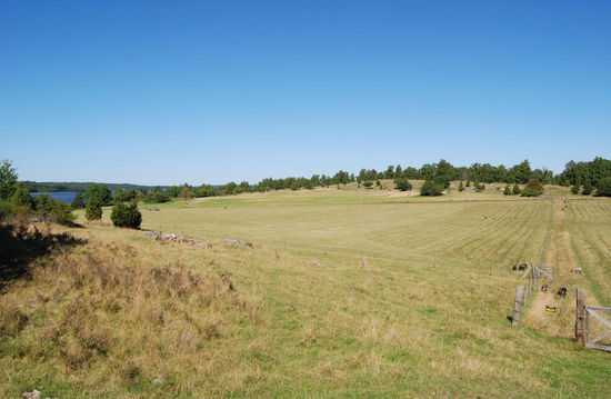 Gebiet der schwarzen Erde, hier lag die Stadt Birka