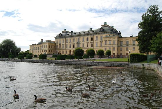 Schwäne und Gänse besuchen Schloß Drottningholm
