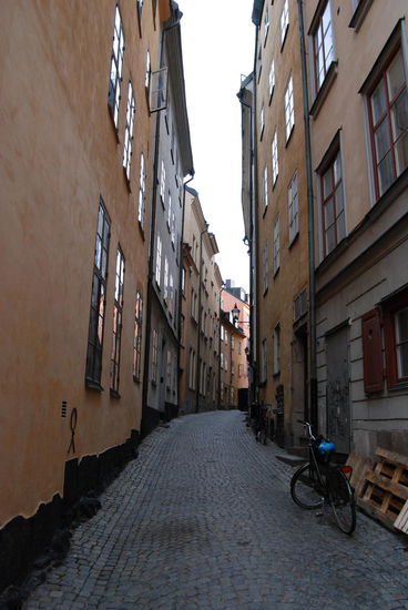 dann gingen wir wieder ein Stück zurück,