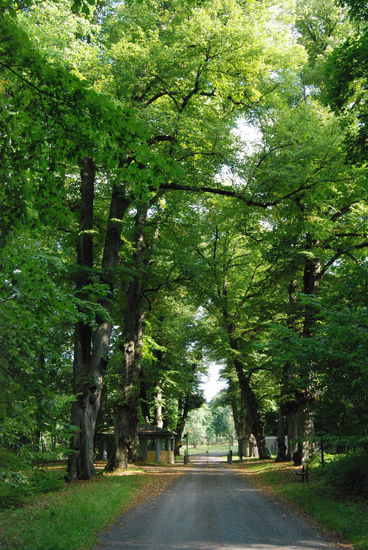 zweite Zufahrt zum Haga-Schloß