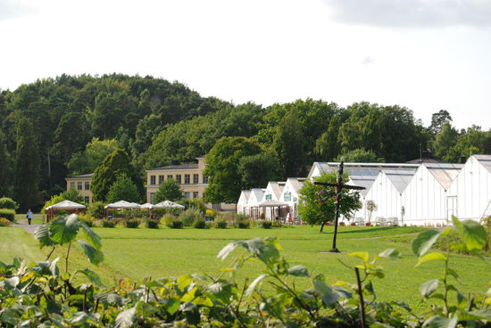 wieder bei den Gewächshäusern