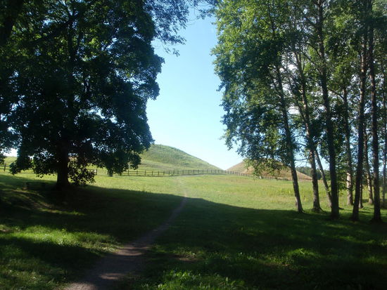 Blick aus unserem "Schlafzimmerfenster" auf die Grabhügel am nächsten Morgen