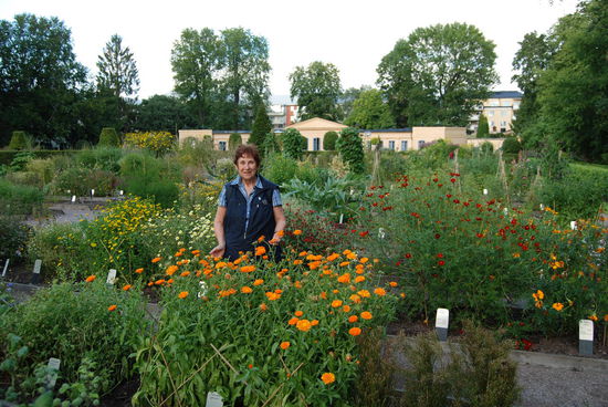 im Linnéträdgården