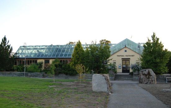 das tropische Gewächshaus