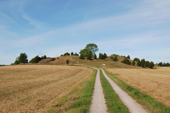das Gräberfeld Valsgärde