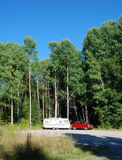 unser Parkplatz am Waldesrand