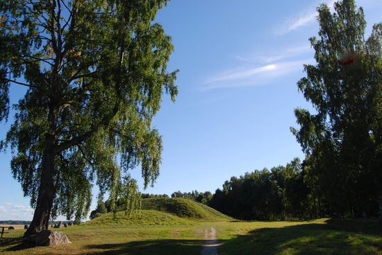 zurück am Grabhügel Anundshög mit einem kleinen Stück Halo