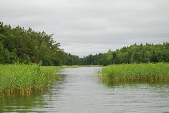 hinter dem Schilf fanden wir