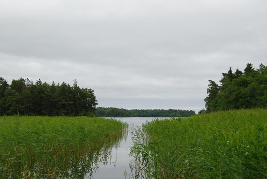 an anderer Stelle fuhren wir wieder durchs Schilf