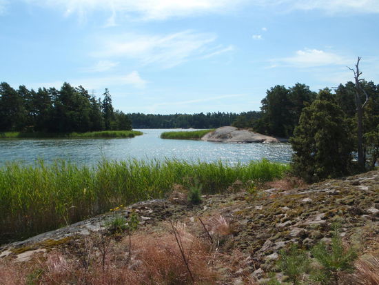 auf unserer Insel um