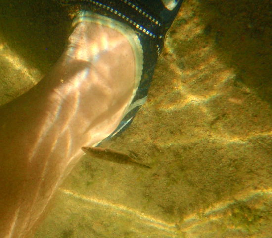 planschten wir mit den Fischen