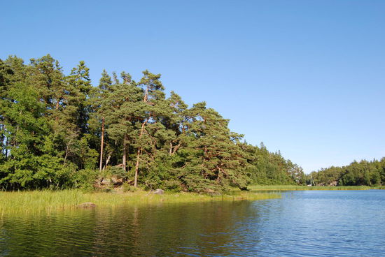 Östra Lermaren, die Bucht der Insel Svartnö, wo wir vorher schon einmal Rast gemacht hatten