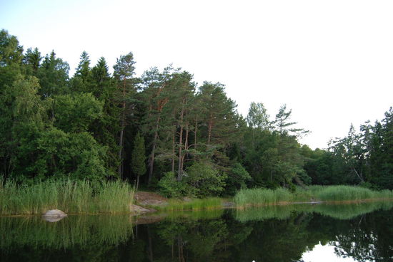 tief hinten in der Bucht fanden wir einen ruhigen Übernachtungsplatz