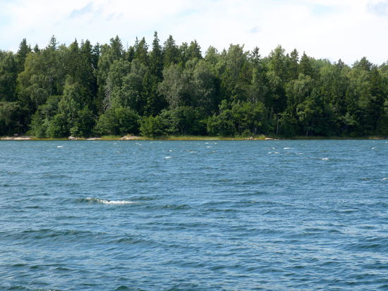 auf Bildern sieht es meist gar nicht so wellig aus wie in Wirklichkeit