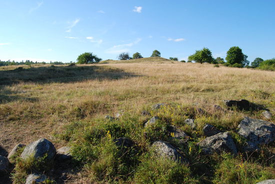 Hovgården, der alte Königssitz