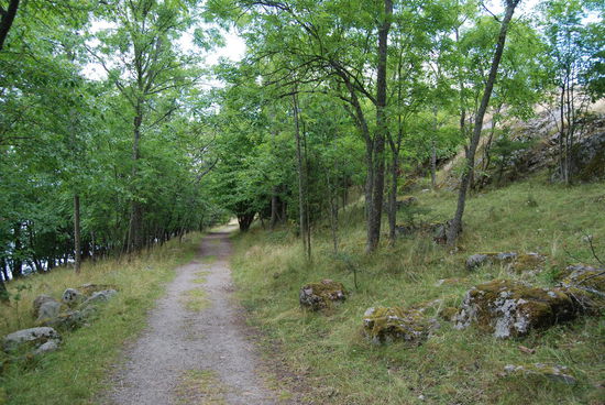 Weg auf der alten Wasserlinie