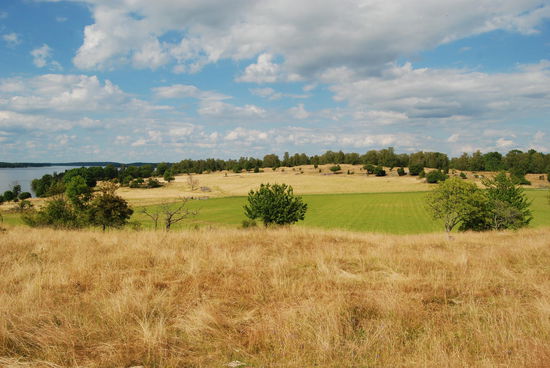 noch ein Blick über das alte Stadtgebiet