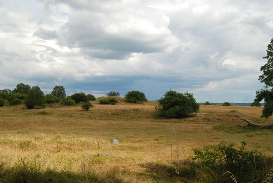 das Hafenbecken der Vikingazeit